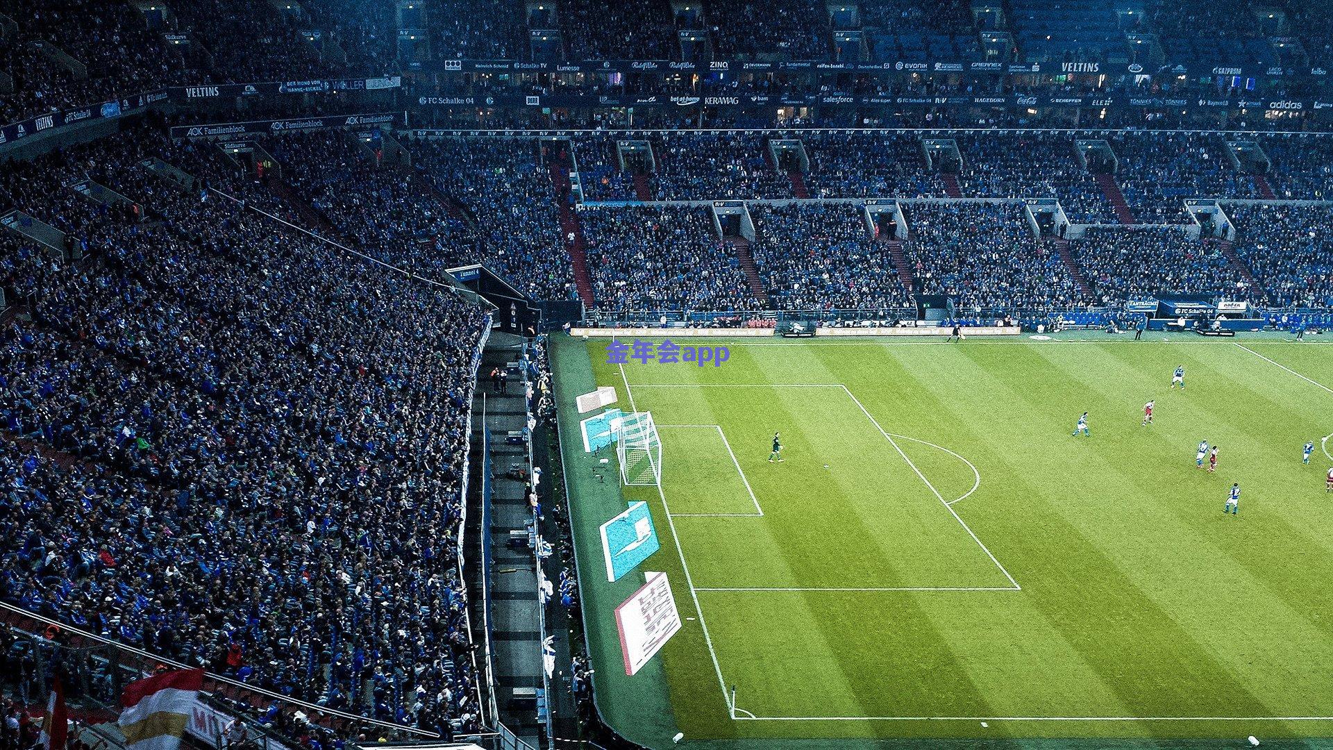 英超VAR再掀争议，布莱顿老倒霉蛋命运难改，裁判公司沉默以对