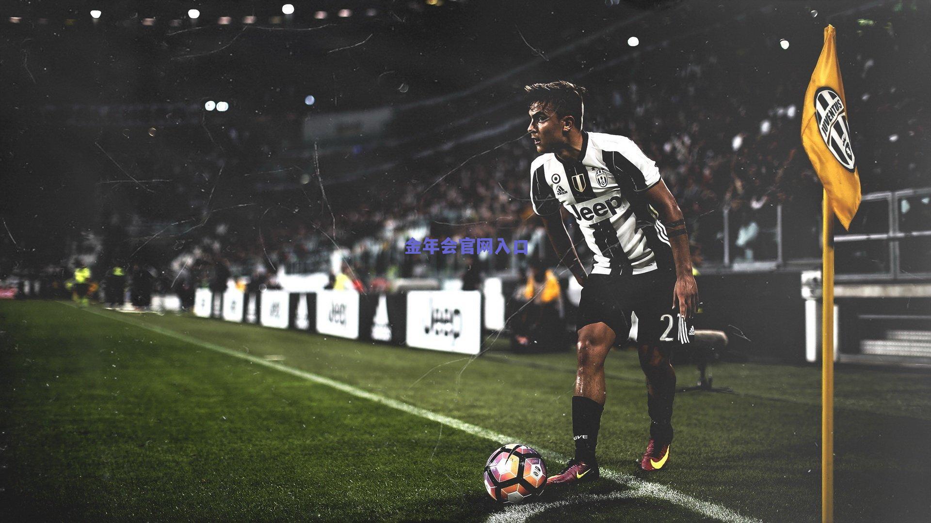 湖人球迷电台系列赛濒临淘汰，詹姆斯能否力挽狂澜？